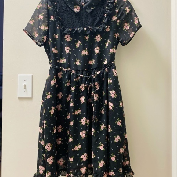 Hot Topic Darling Black Dress with Pink Roses - Picture 4 of 14